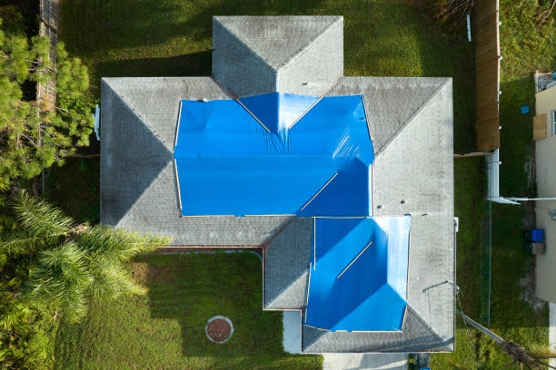 Best Roof Maintenance and Cleaning  in Raynham Center, MA
