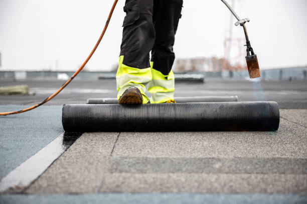 Best Sheet Metal Roofing  in Raynham Center, MA